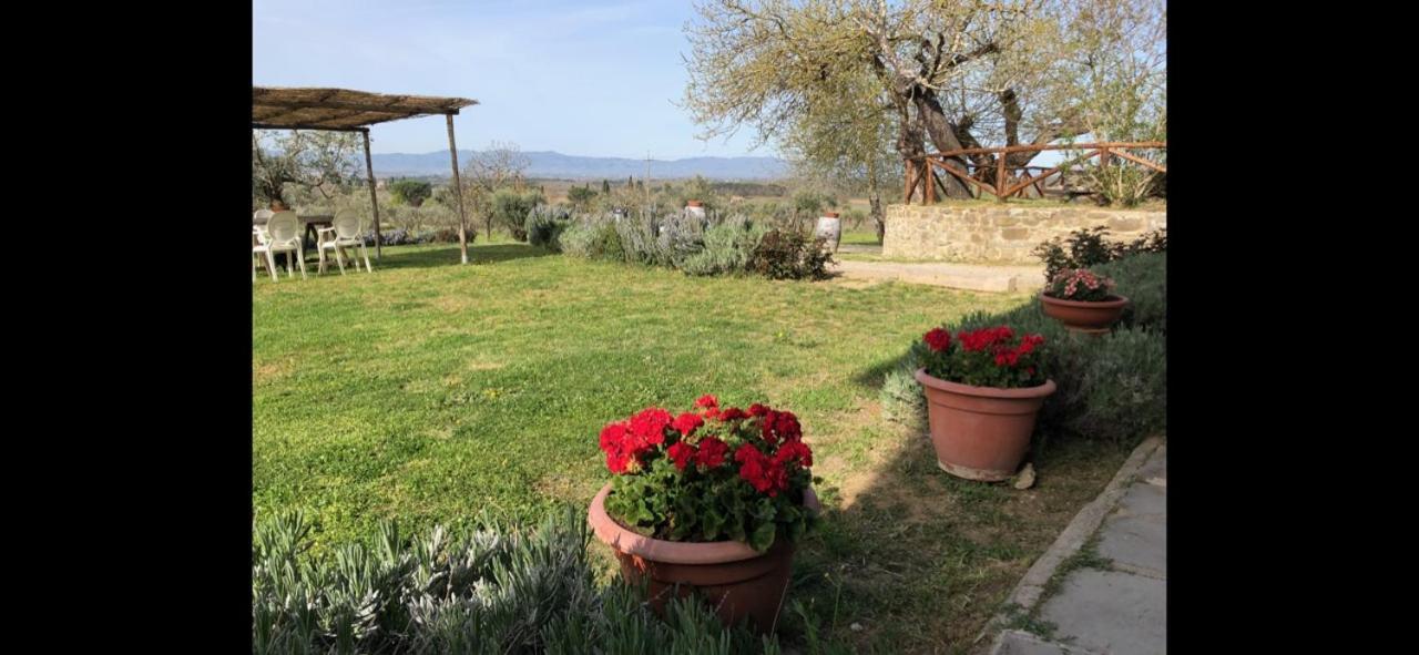 Agriturismo La Posta Reale Castiglion Fibocchi Ngoại thất bức ảnh