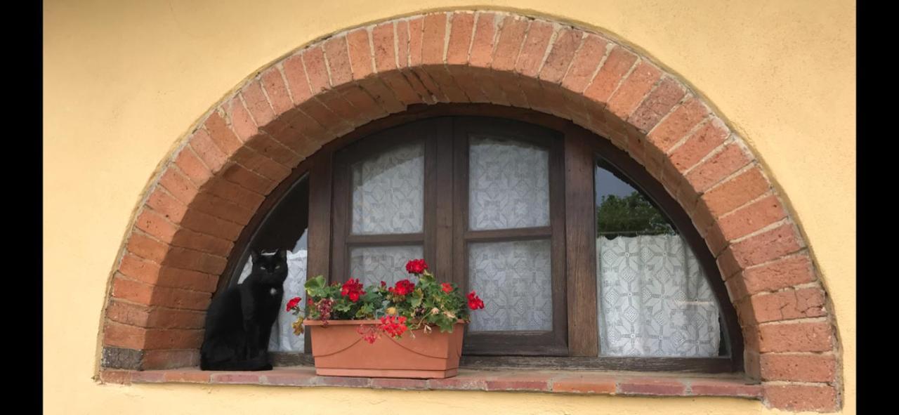 Agriturismo La Posta Reale Castiglion Fibocchi Ngoại thất bức ảnh