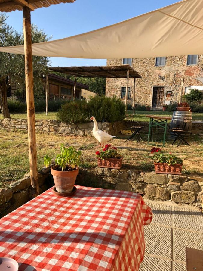 Agriturismo La Posta Reale Castiglion Fibocchi Ngoại thất bức ảnh