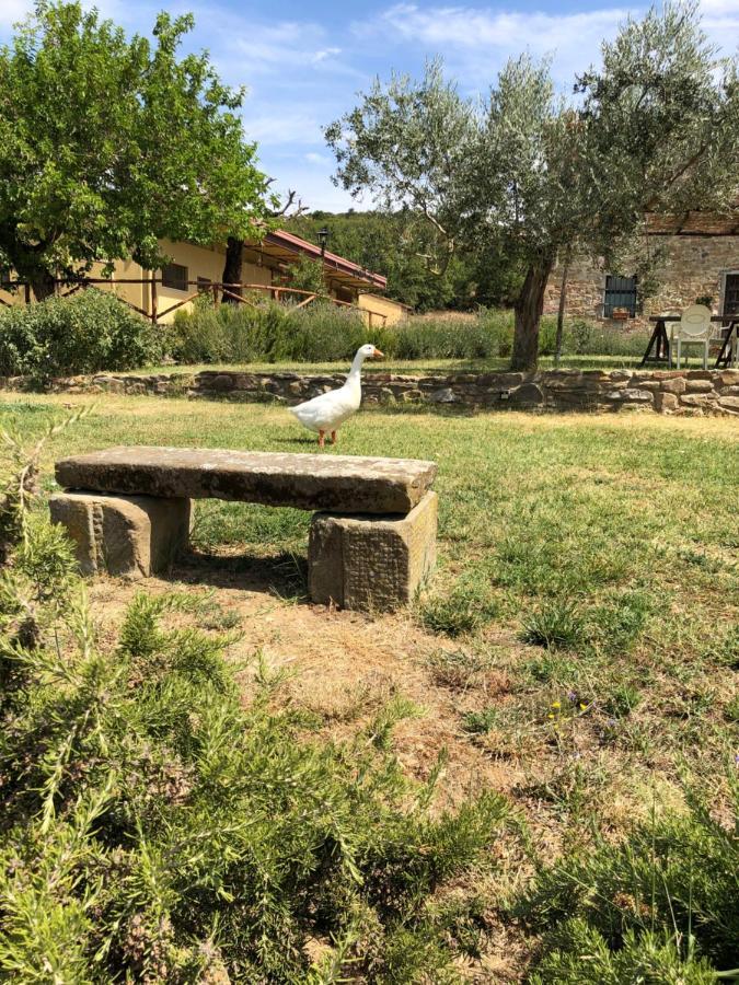 Agriturismo La Posta Reale Castiglion Fibocchi Ngoại thất bức ảnh