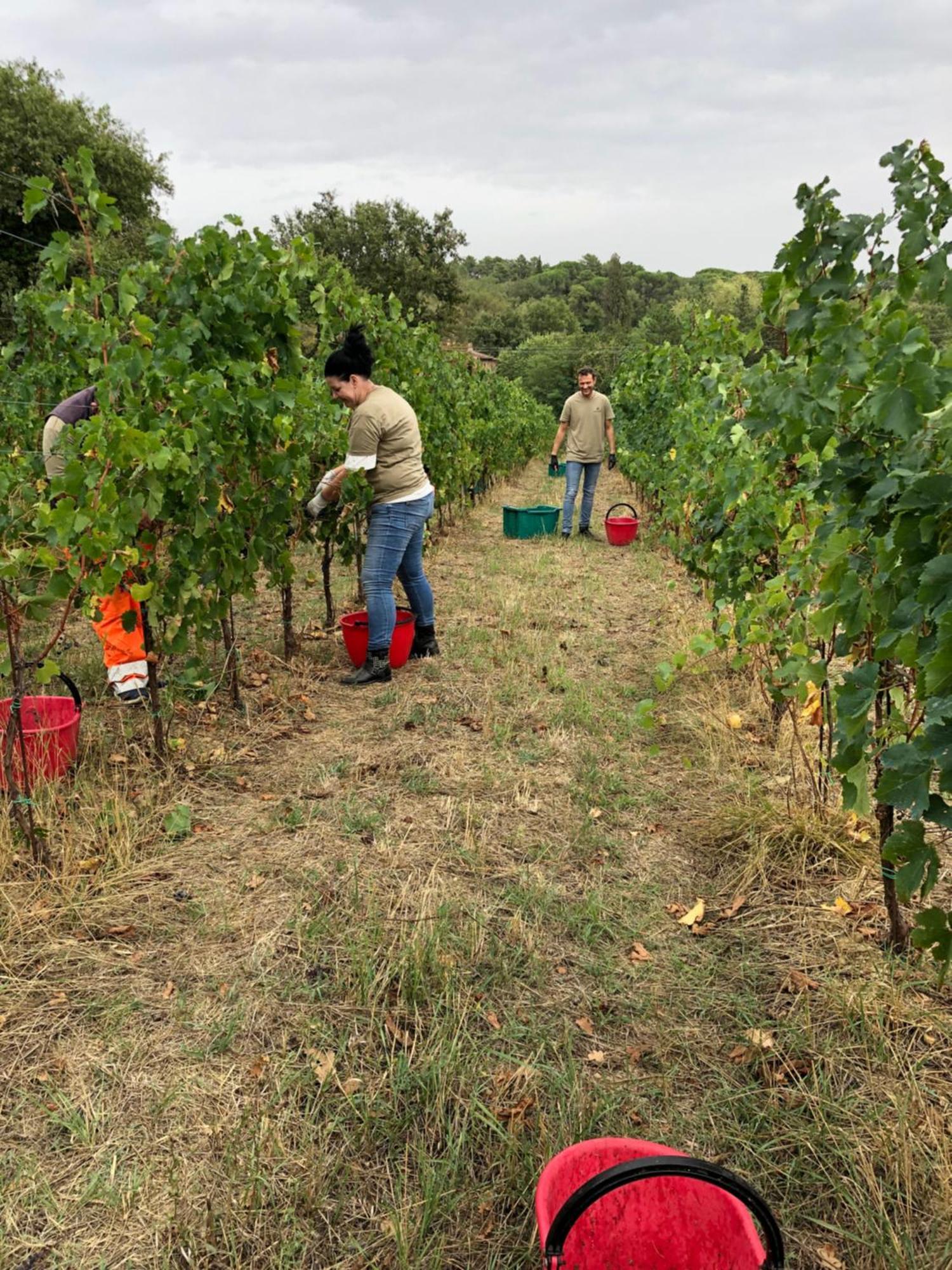 Agriturismo La Posta Reale Castiglion Fibocchi Ngoại thất bức ảnh