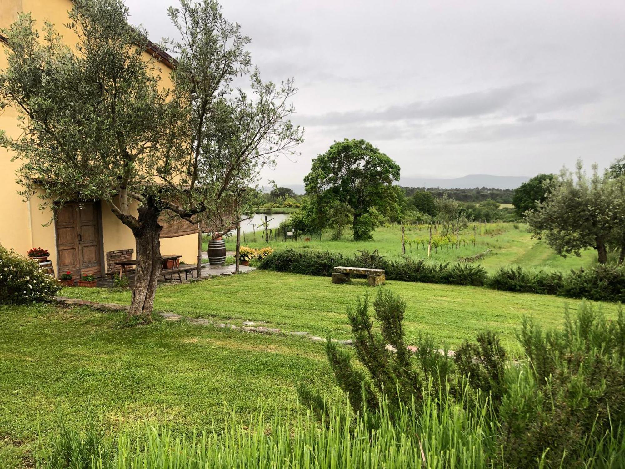 Agriturismo La Posta Reale Castiglion Fibocchi Ngoại thất bức ảnh