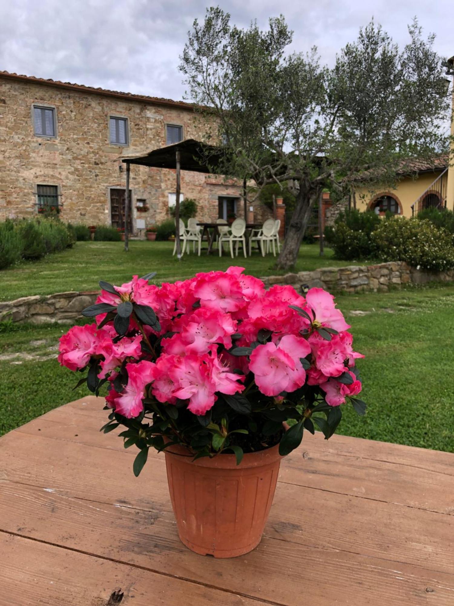 Agriturismo La Posta Reale Castiglion Fibocchi Ngoại thất bức ảnh