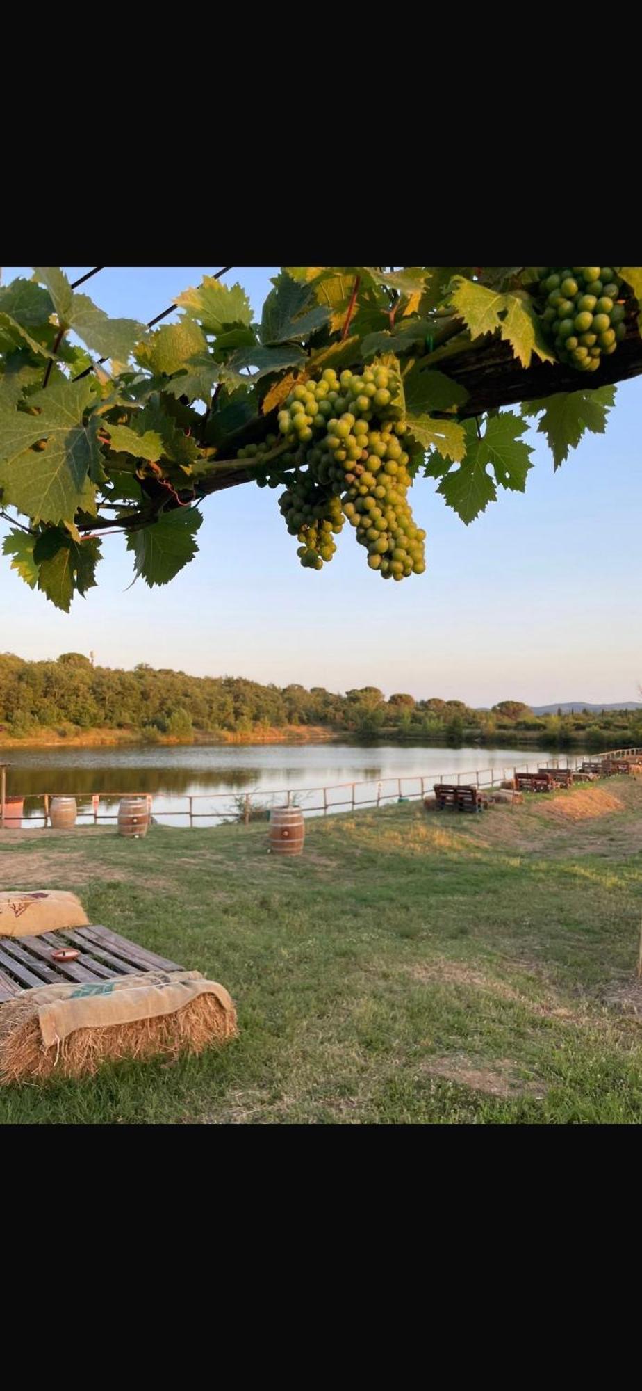 Agriturismo La Posta Reale Castiglion Fibocchi Ngoại thất bức ảnh