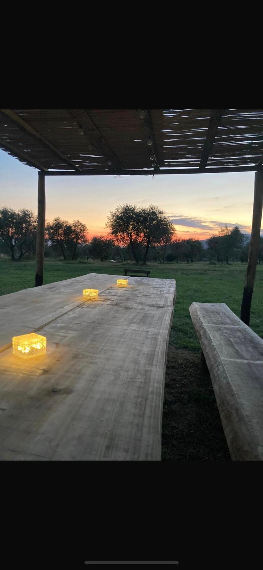 Agriturismo La Posta Reale Castiglion Fibocchi Ngoại thất bức ảnh