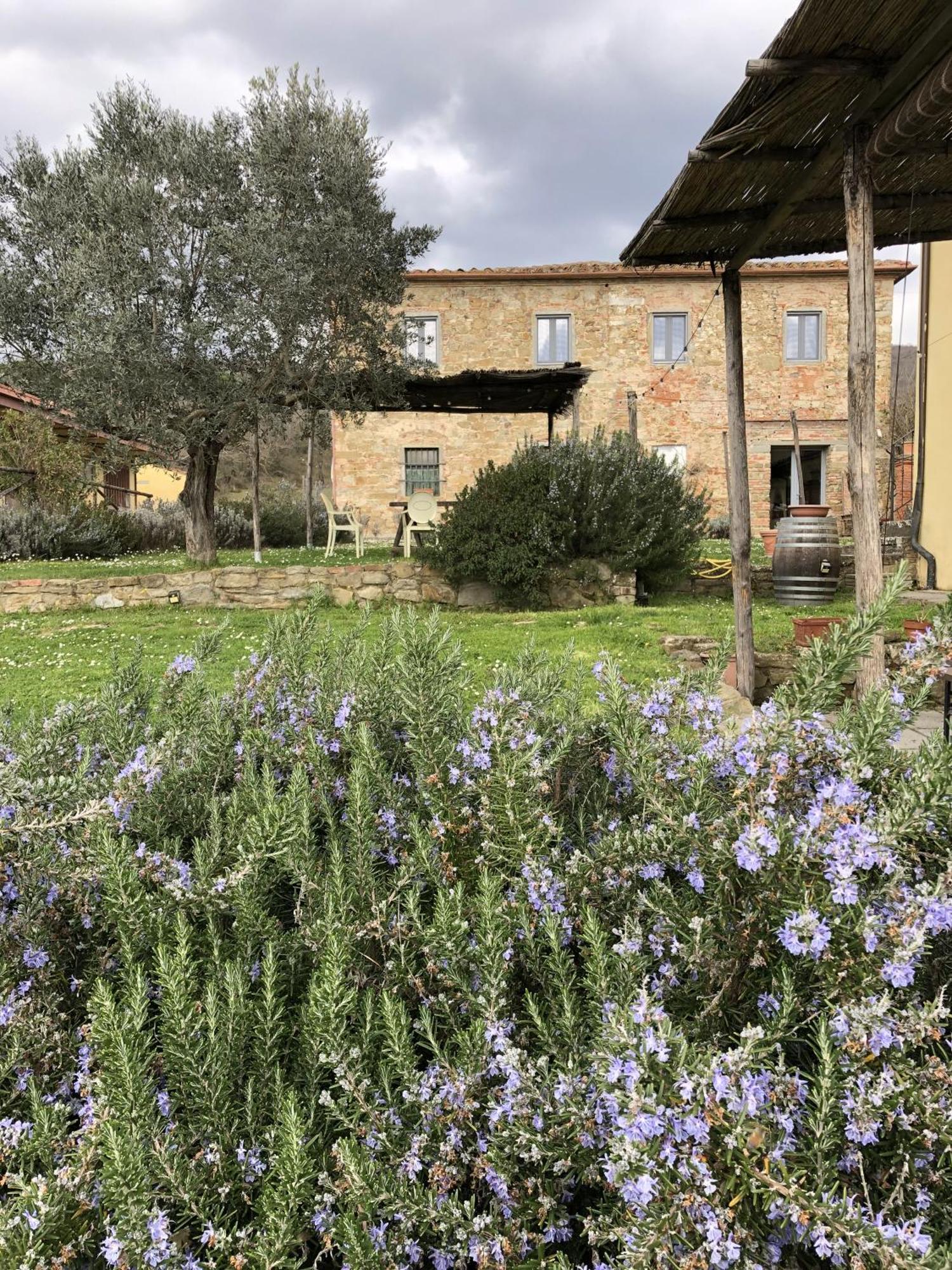 Agriturismo La Posta Reale Castiglion Fibocchi Ngoại thất bức ảnh