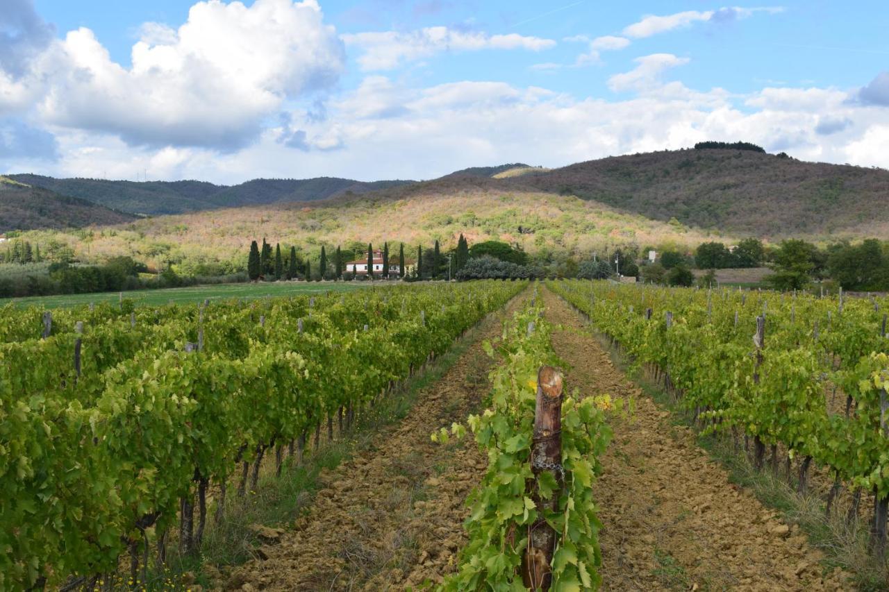Agriturismo La Posta Reale Castiglion Fibocchi Ngoại thất bức ảnh